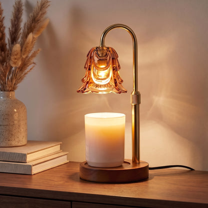 Candle warmer lamp melting a jar candle beside books and dried grass in the evening